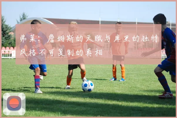 弗莱：詹姆斯的天赋与库里的独特风格不可复制的真相