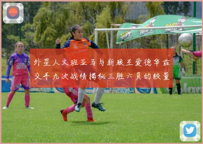 外星人文班亚马与新狼王爱德华兹交手九次战绩揭秘三胜六负的较量分析