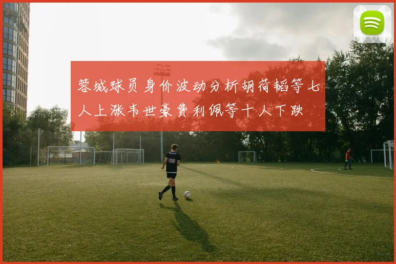 蓉城球员身价波动分析胡荷韬等七人上涨韦世豪费利佩等十人下跌