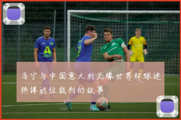 马宁与中国意大利无缘世界杯球迷热捧这位裁判的故事
